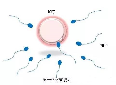 包生男孩公司